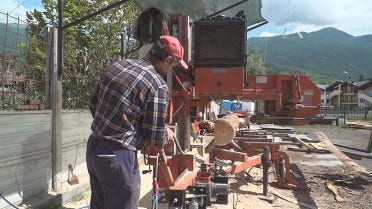 Trajnostno gospodarjenje z gozdovi lokalne skupnosti v Italiji